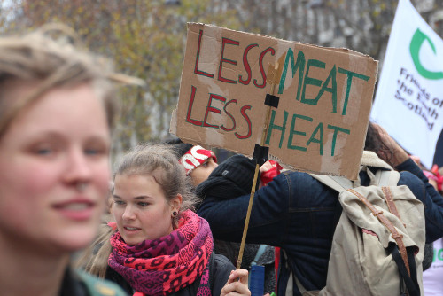 Less Meat Less Heat